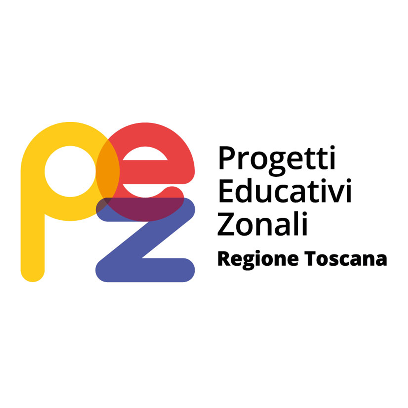 PEZ - Progetti Educativi Zonali